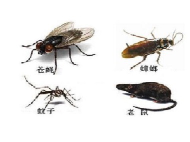 佛山虫害消杀没有看到害虫需要进行检查和预防吗？