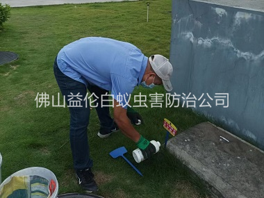 南海灭除红火蚁工程